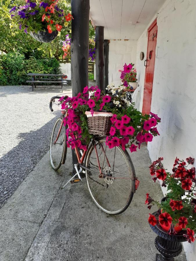 Cummins Cottages Ballycrossaun Exteriér fotografie