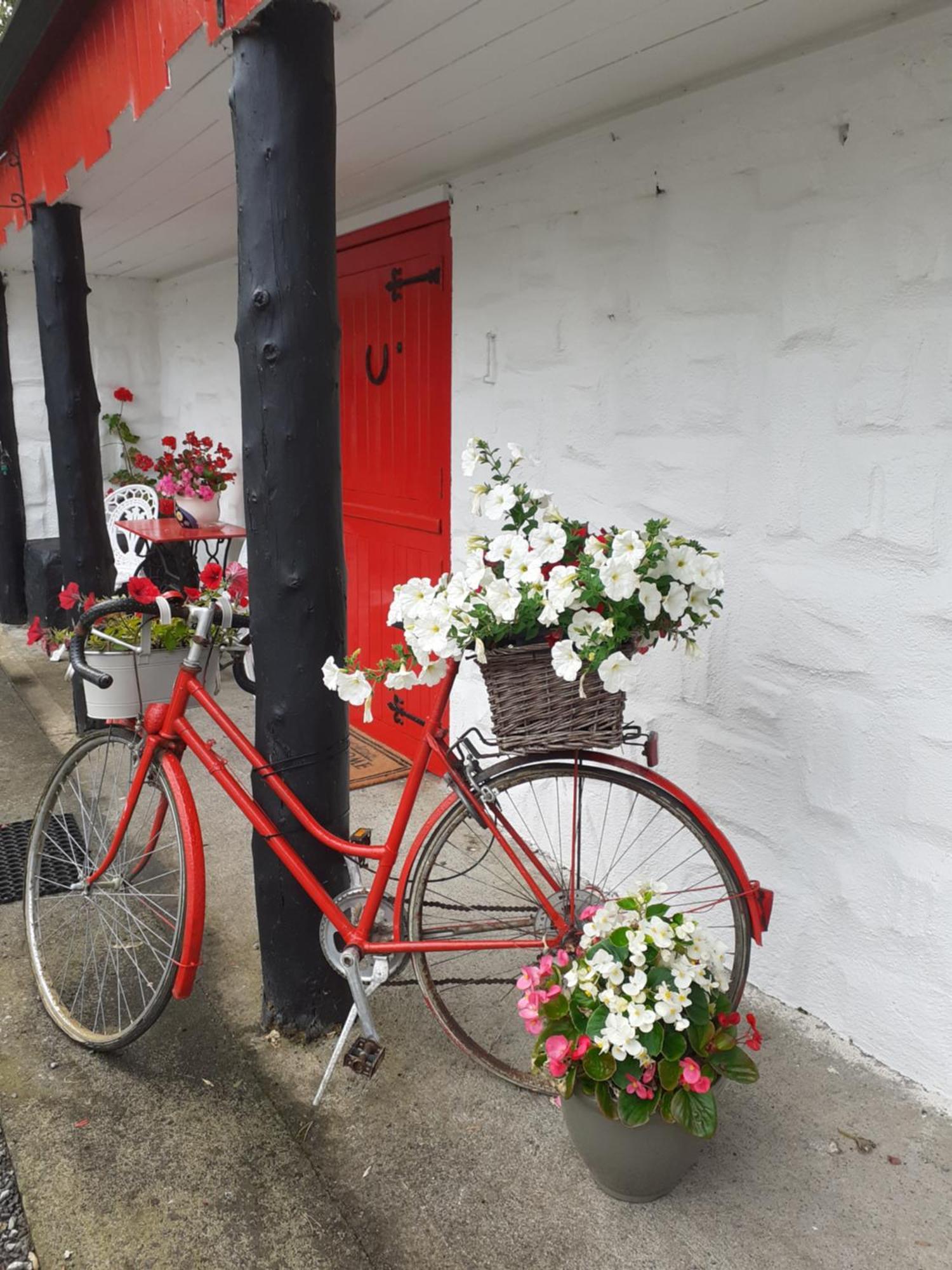 Cummins Cottages Ballycrossaun Exteriér fotografie