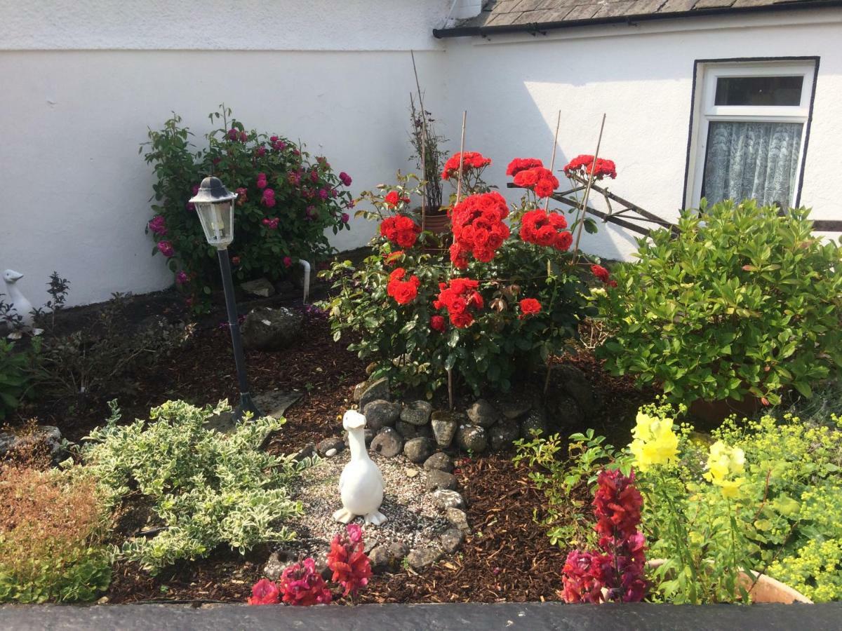 Cummins Cottages Ballycrossaun Exteriér fotografie
