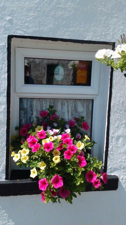 Cummins Cottages Ballycrossaun Exteriér fotografie